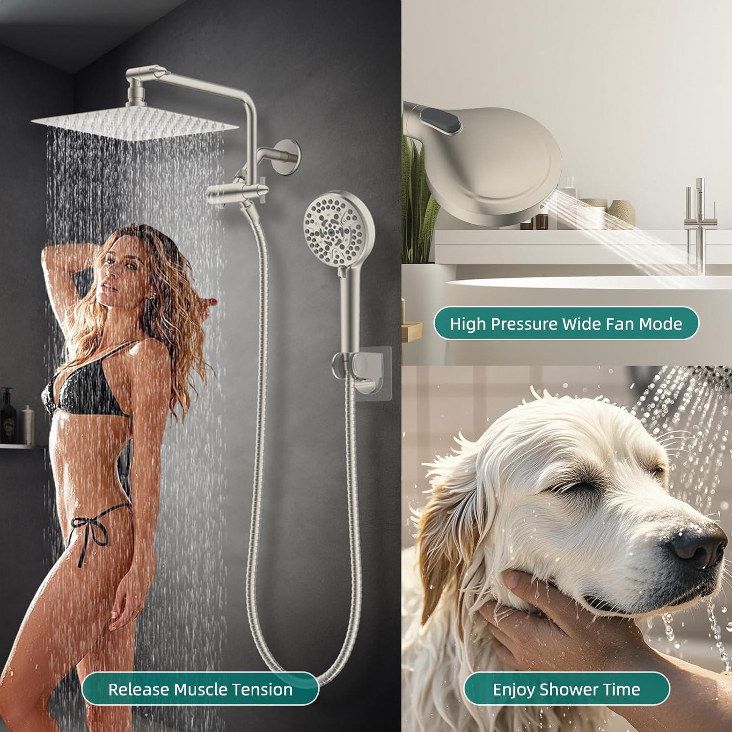 Cabezal de Ducha Hygie Rinse 10 Pulgadas Acero Inoxidable