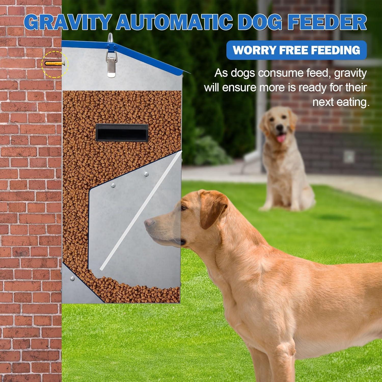 Comedero Automático para Perros Homsky 11,34 kg Azul