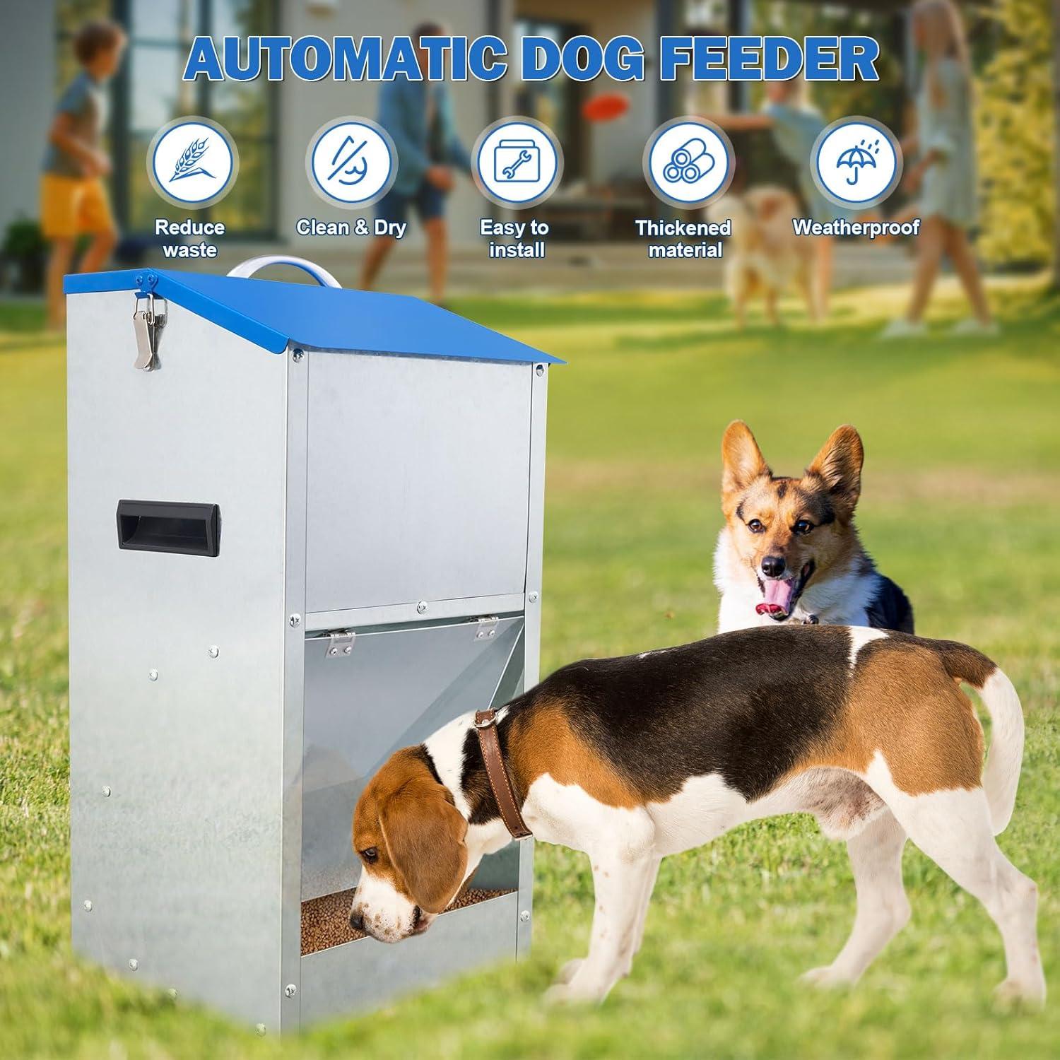 Comedero Automático para Perros Homsky 11,34 kg Azul