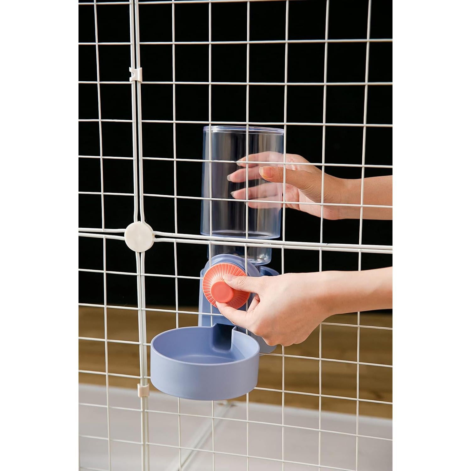 Dispensador automático de comida y agua Kenond 1L azul