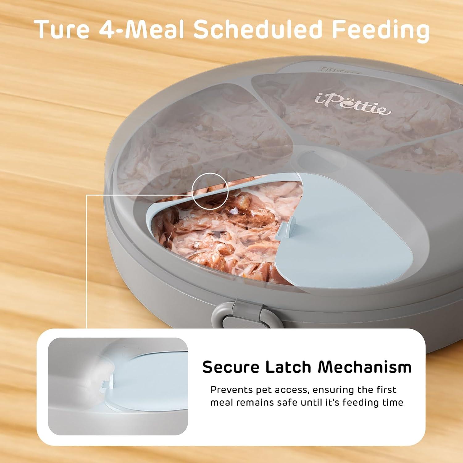 Alimentador Automático iPettie Zharko 4 Comidas Gato 226g