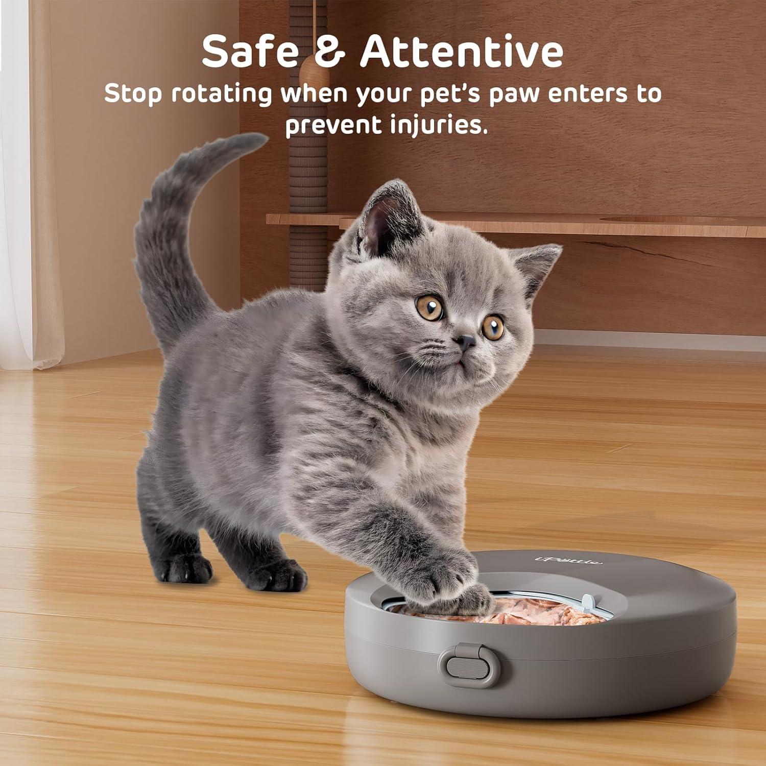 Alimentador Automático iPettie Zharko 4 Comidas Gato 226g