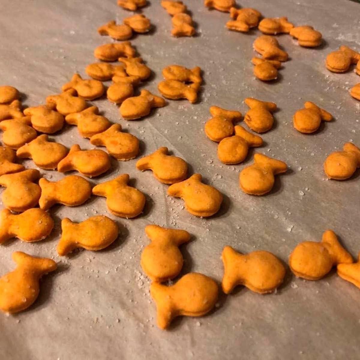 Cortador de Galletas de Pescado VIKROM Rojo Multi x5