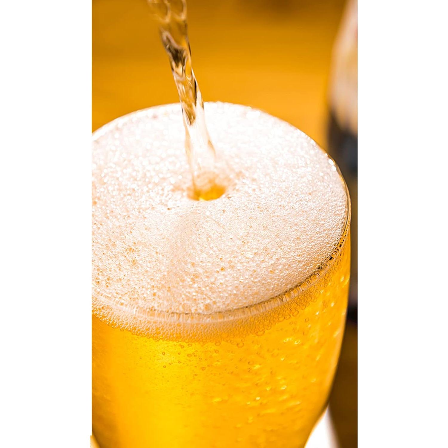 Juego de 6 vasos Pilsner BPFY 480 ml vidrio transparente