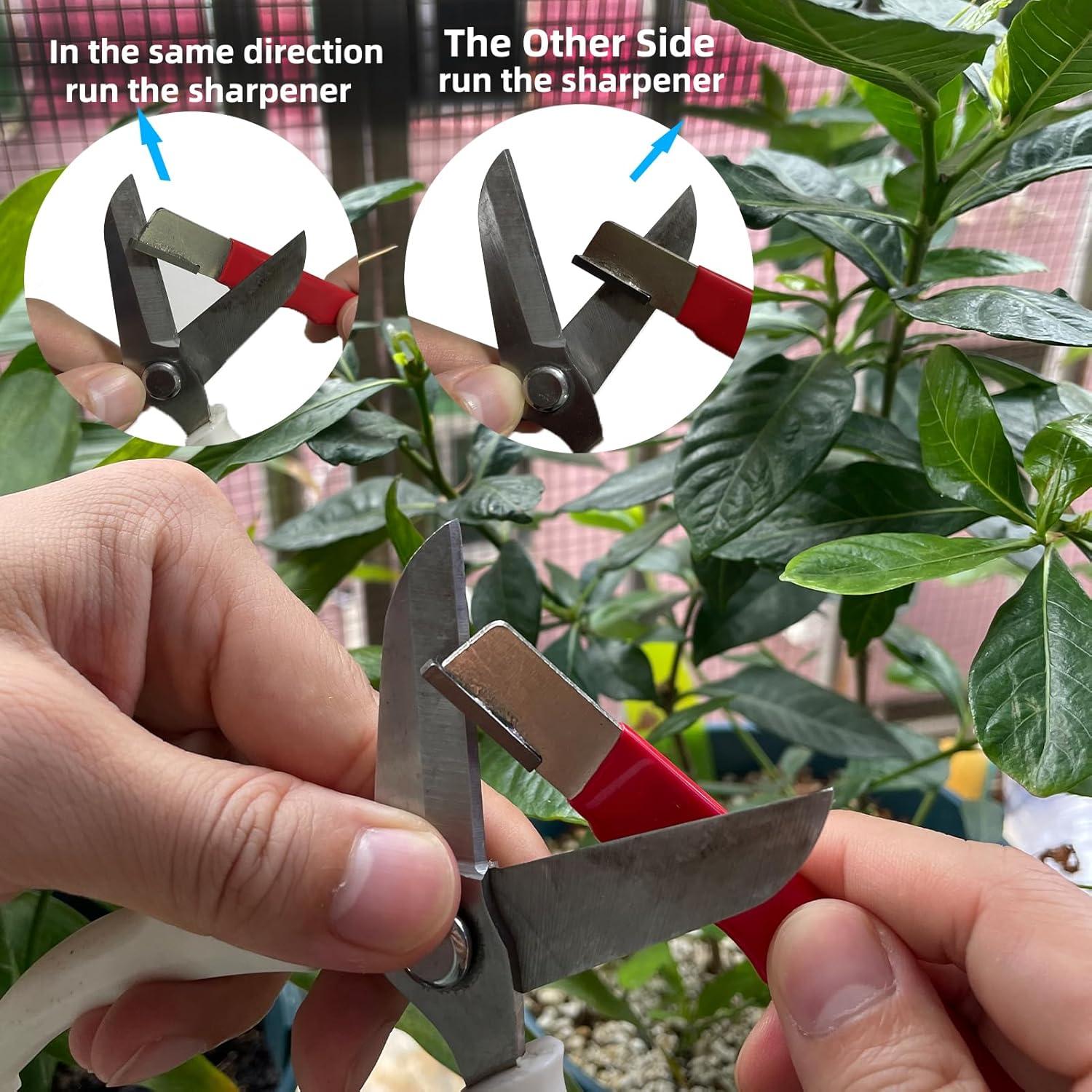 Afilador de Cuchillos Portátil Paoleju 2-Pack Acero Tungsteno