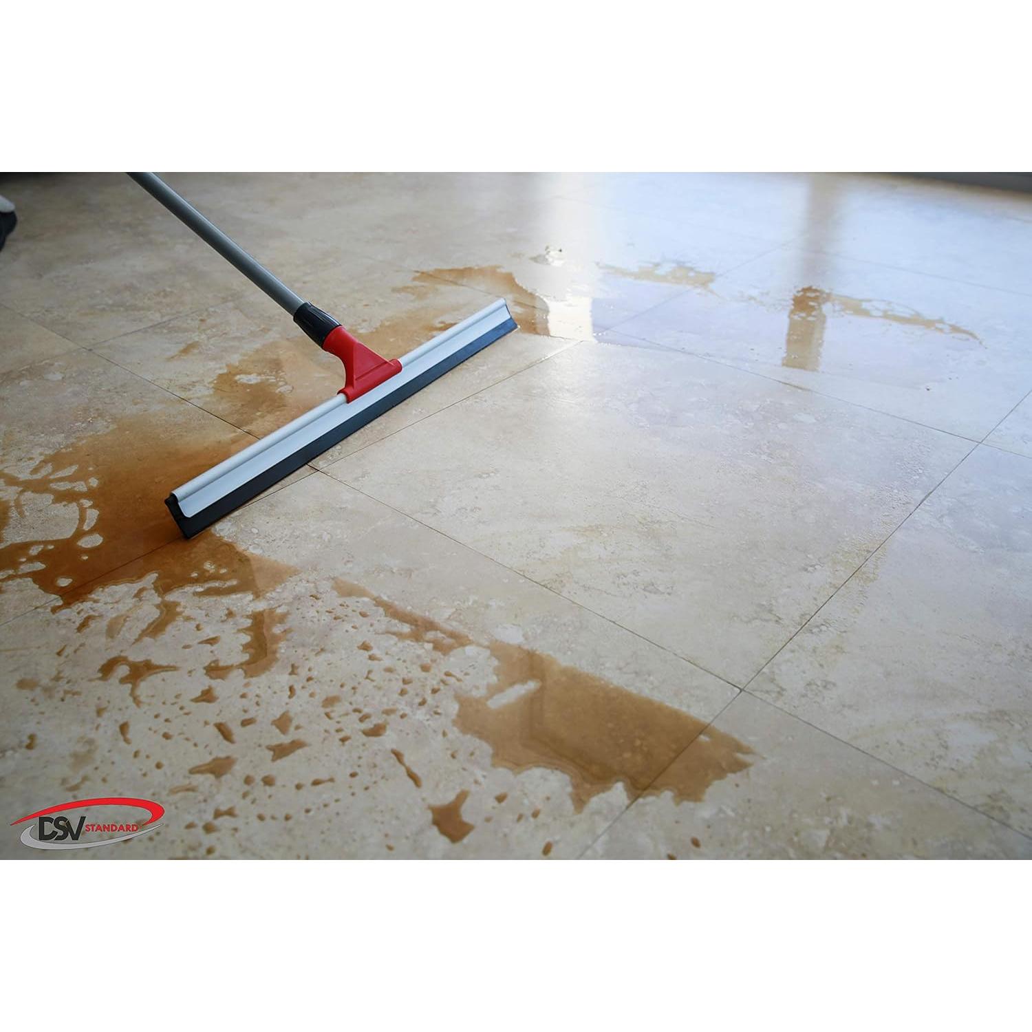 Raspador Profesional DSV Standard 60 cm con Mango Telescópico