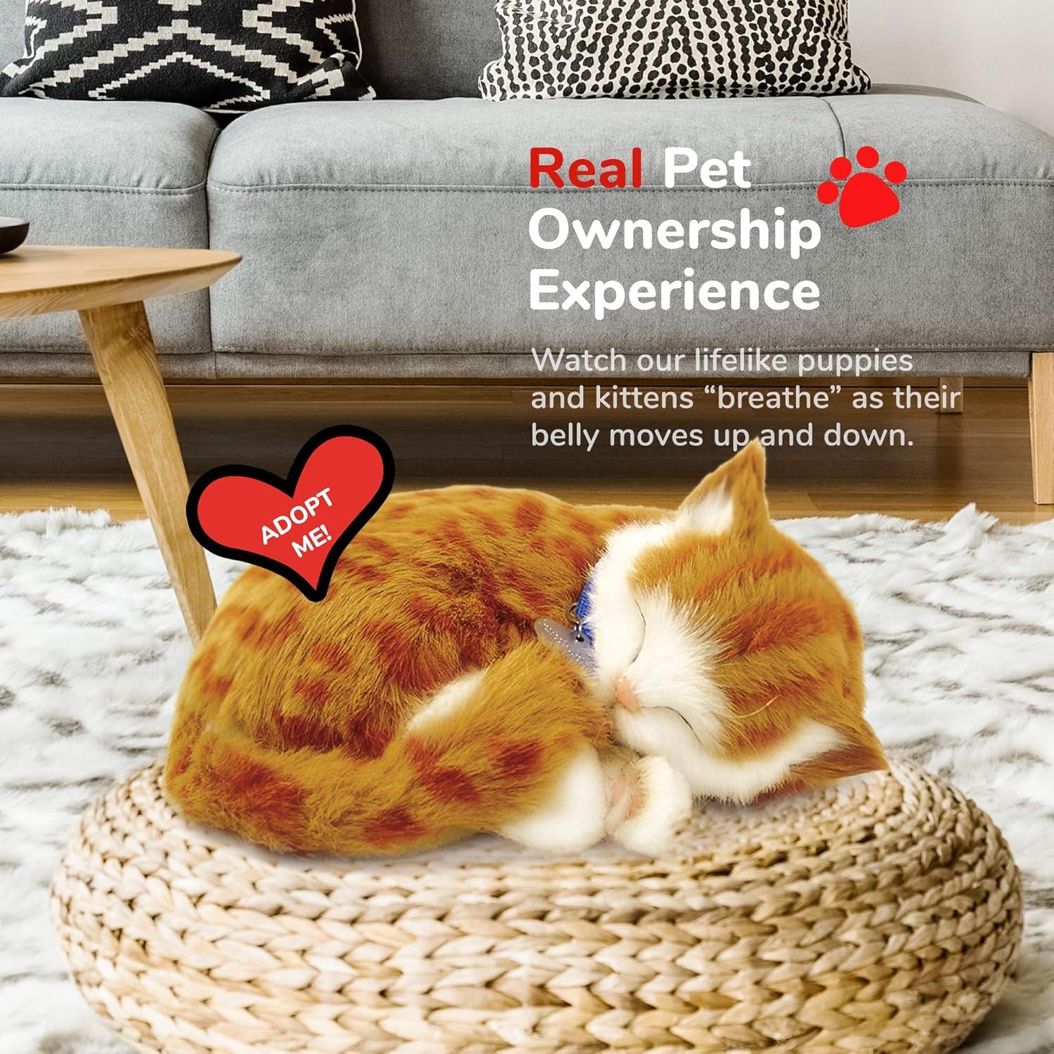 Gato de Peluche Interactivo Perfect Petzzz Naranja 27x13cm