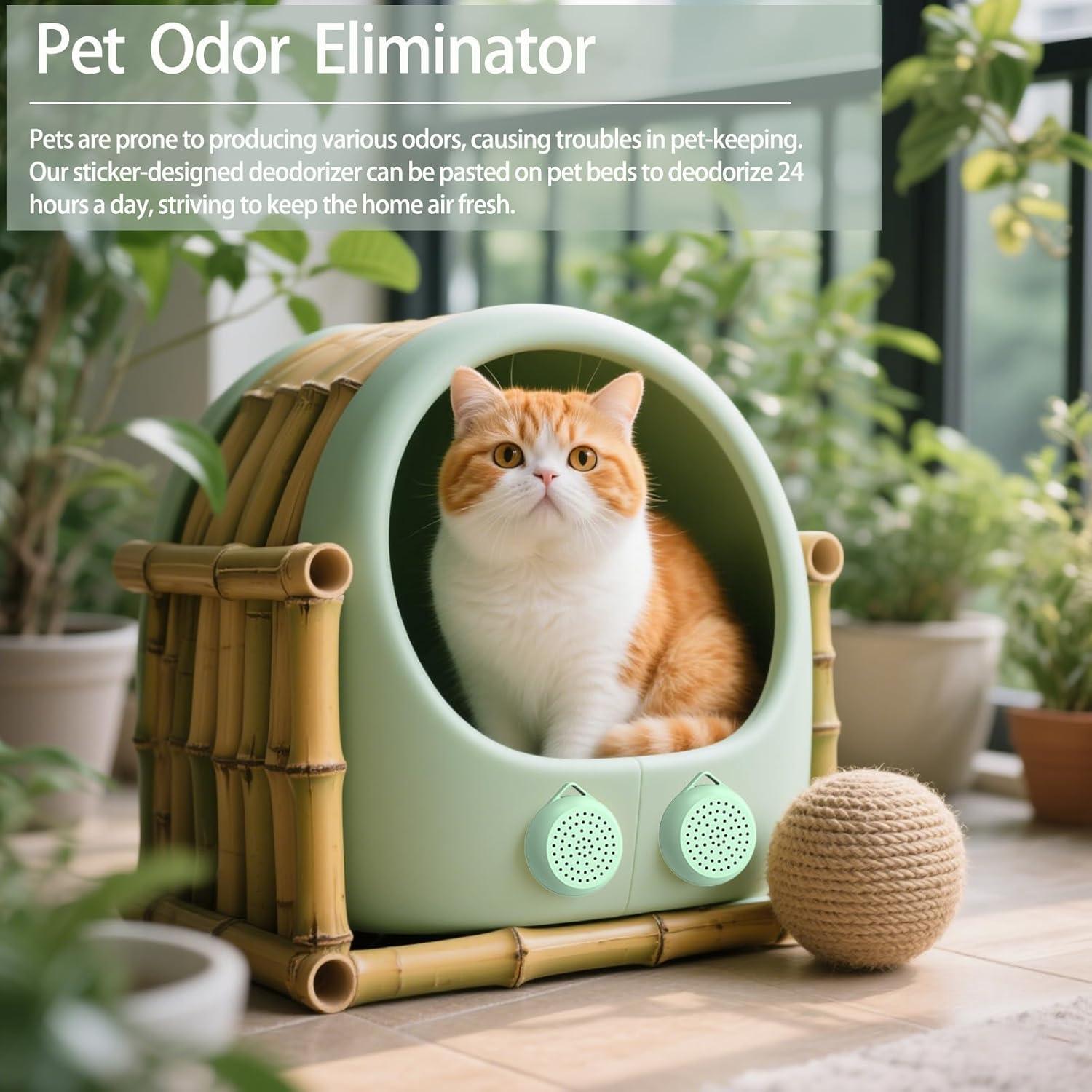 Desodorante de Nevera y Zapatos Alcalino QWS - 8 Piezas