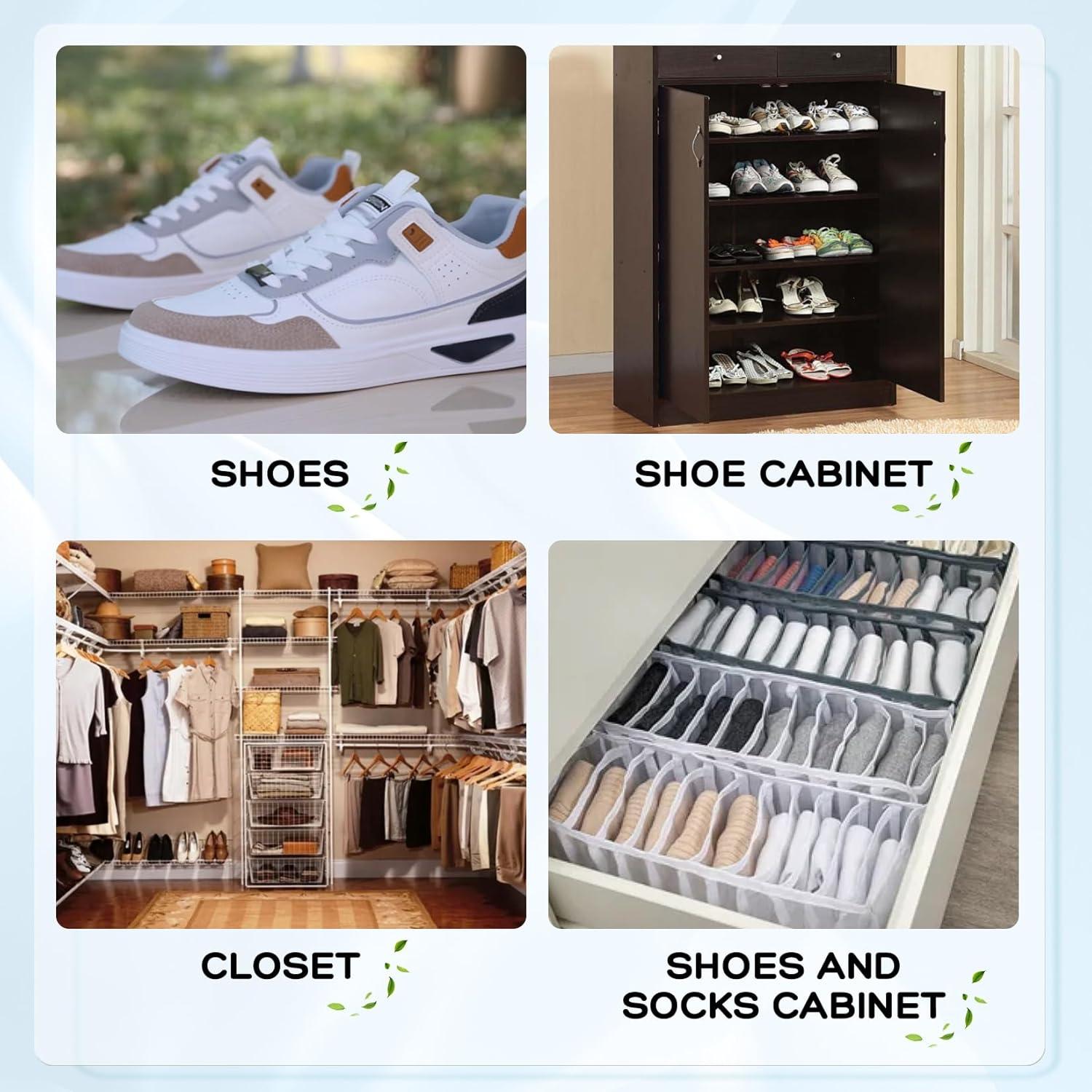 Desodorante para Calzado BOLL Spray 250ml Eliminador Olores