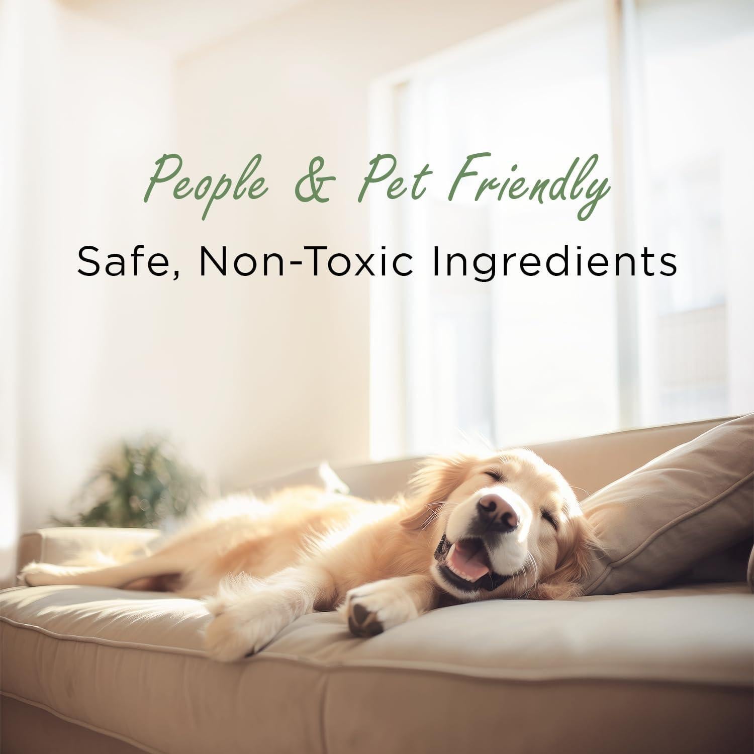 Moso Natural Bolsa Purificadora de Aire 200g Carbón Bambú