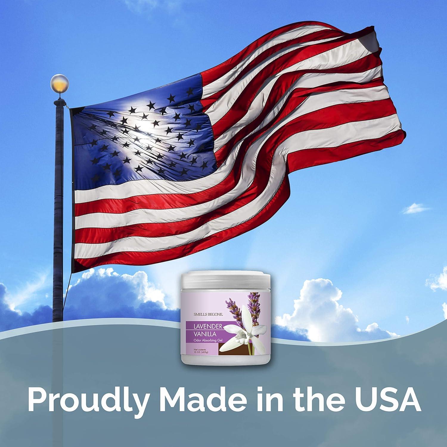 Gel Absorbente de Olores Smells Begone 425g Lavanda Vainilla