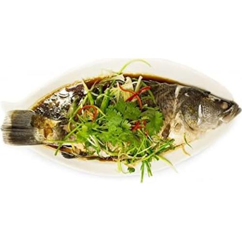 Home Products Essentials Microwavable Fish, Pasta and Veggie Steamer, with Steam Vent, BPA Free, 11.5 x 8 (832)