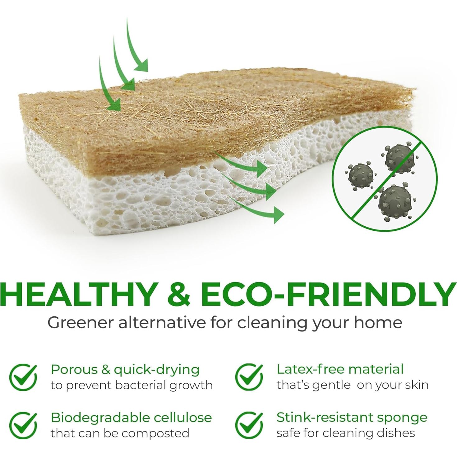 Esponjas de Cocina Ecológicas AIRNEX - 12 Unidades Biodegradables