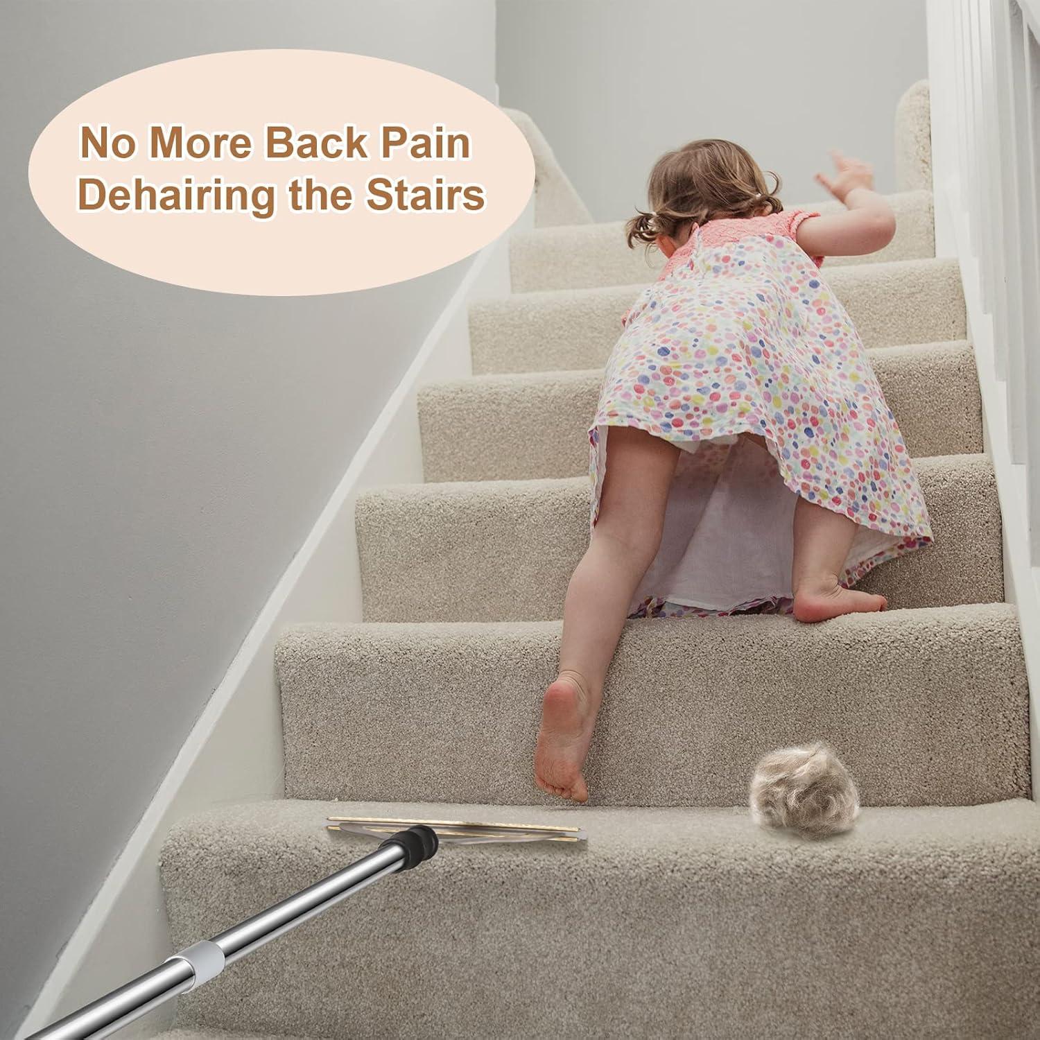 Rastrillo de Alfombra Hold a Star 47" para Pelo de Mascotas