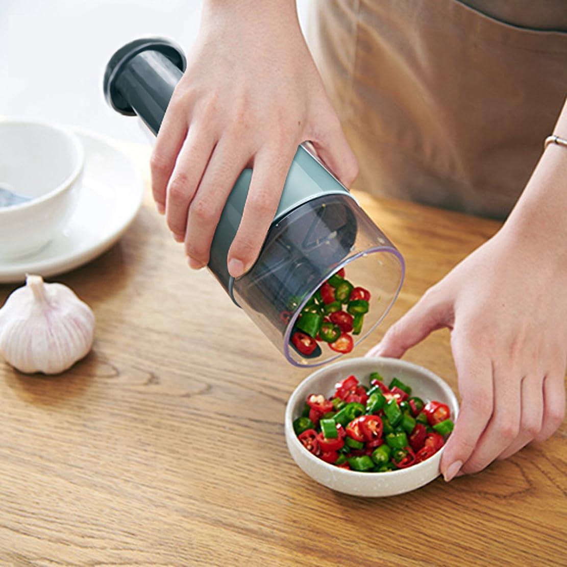 Mini Picador de Ajo HANSYDONNY C-1 Manual Verde 0.22 kg