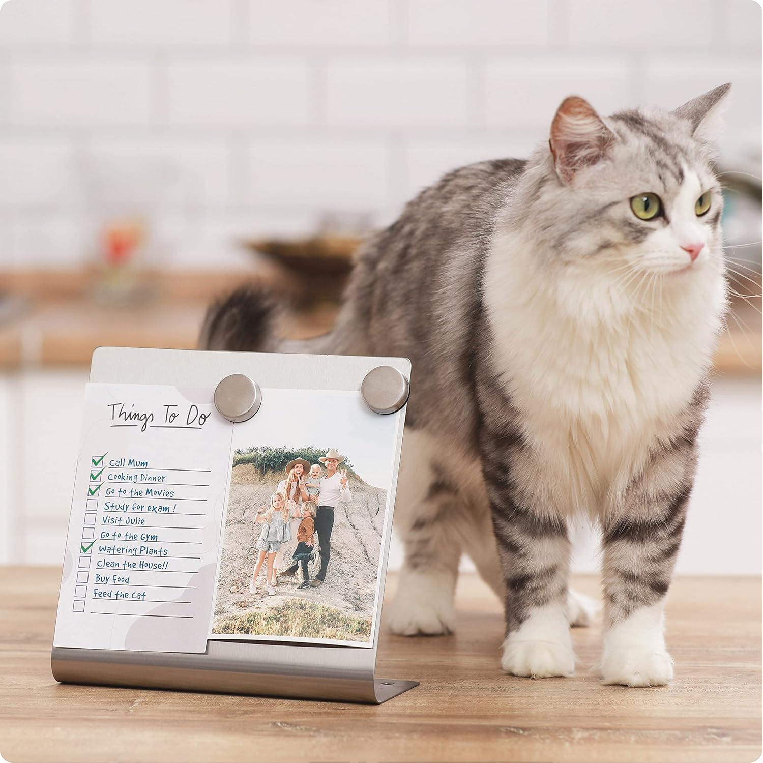 Tablero Magnético Borrable 20x20 cm OutFormal Plata