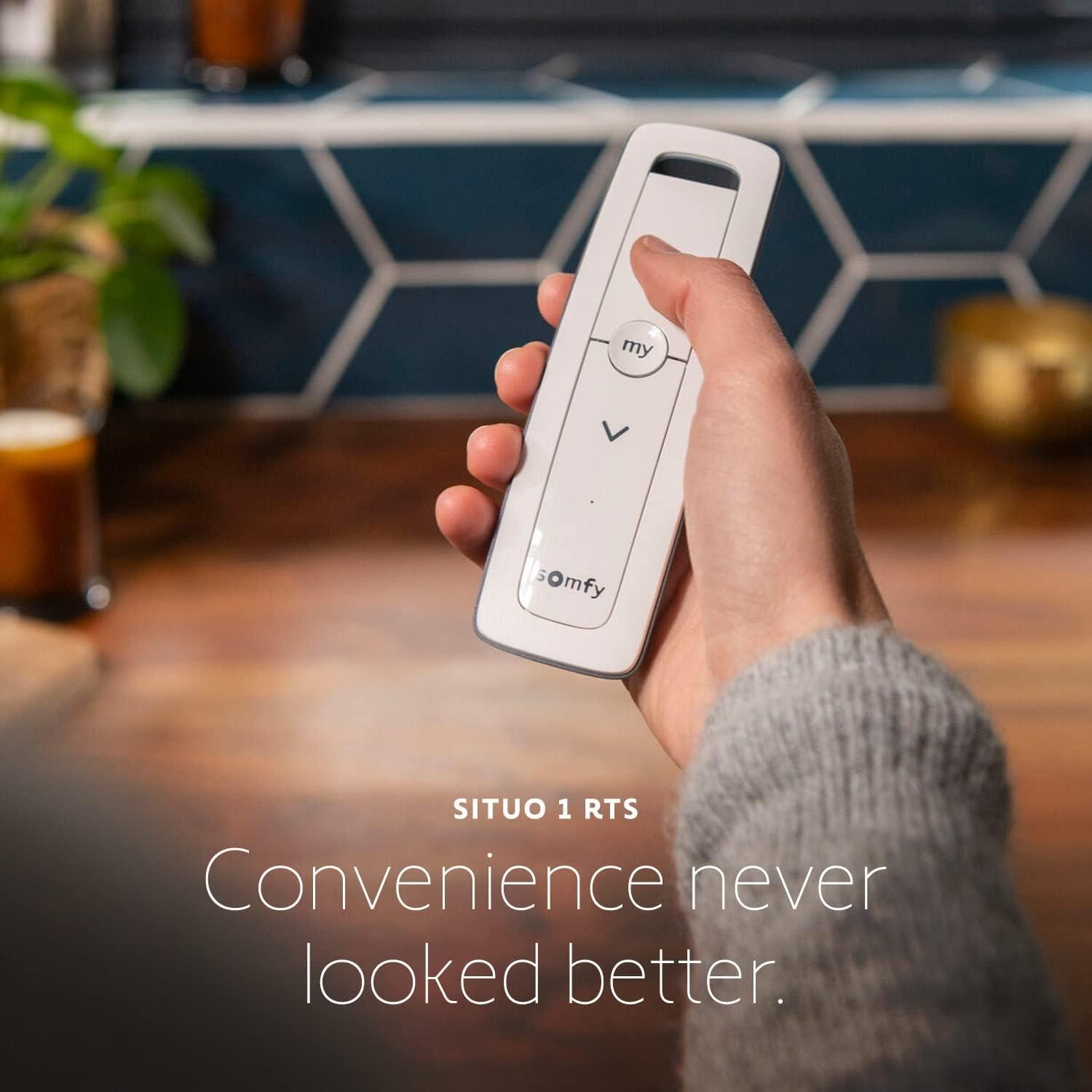 Control Remoto Somfy Situo 1 RTS Blanco para Cortinas