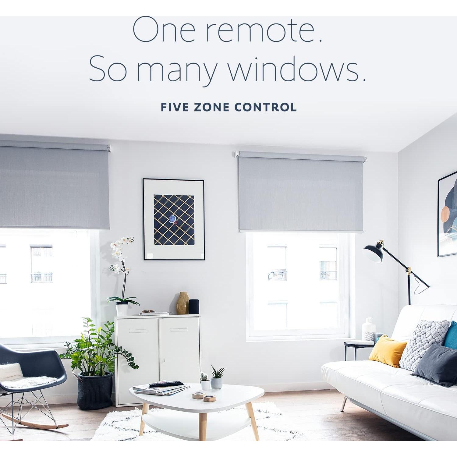 Control Remoto Somfy Situo 5 Pure RTS para Cortinas