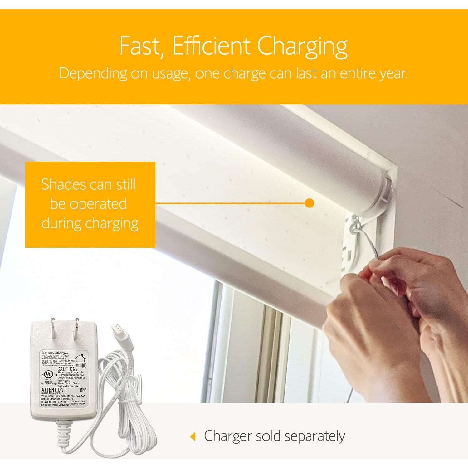 Paquete de 2 Baterías Recargables Somfy 12V para Persianas