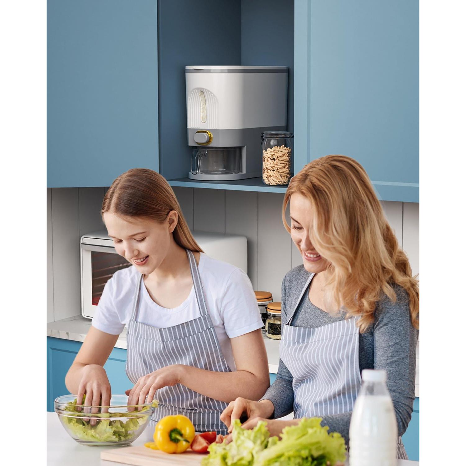 Dispensador de arroz Lenwi 11 lbs libre de BPA - Gris