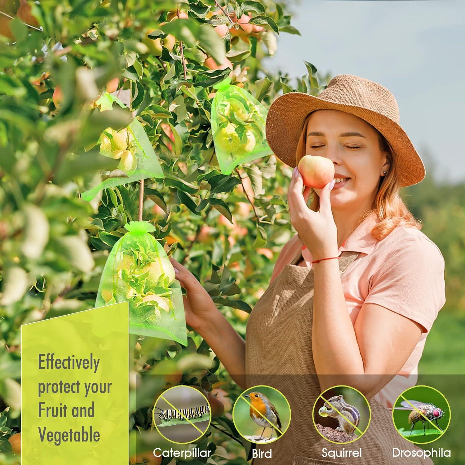 Bolsas de Protección de Frutas RIFNY 100 Pcs 15x20 cm Verde