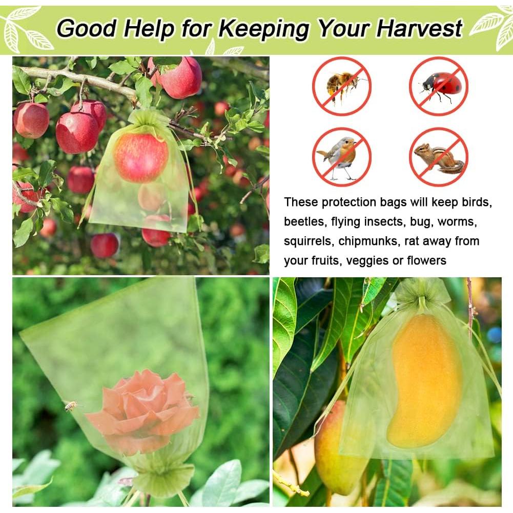 100 Bolsas de Protección de Frutas HRX Verde 15x23 cm