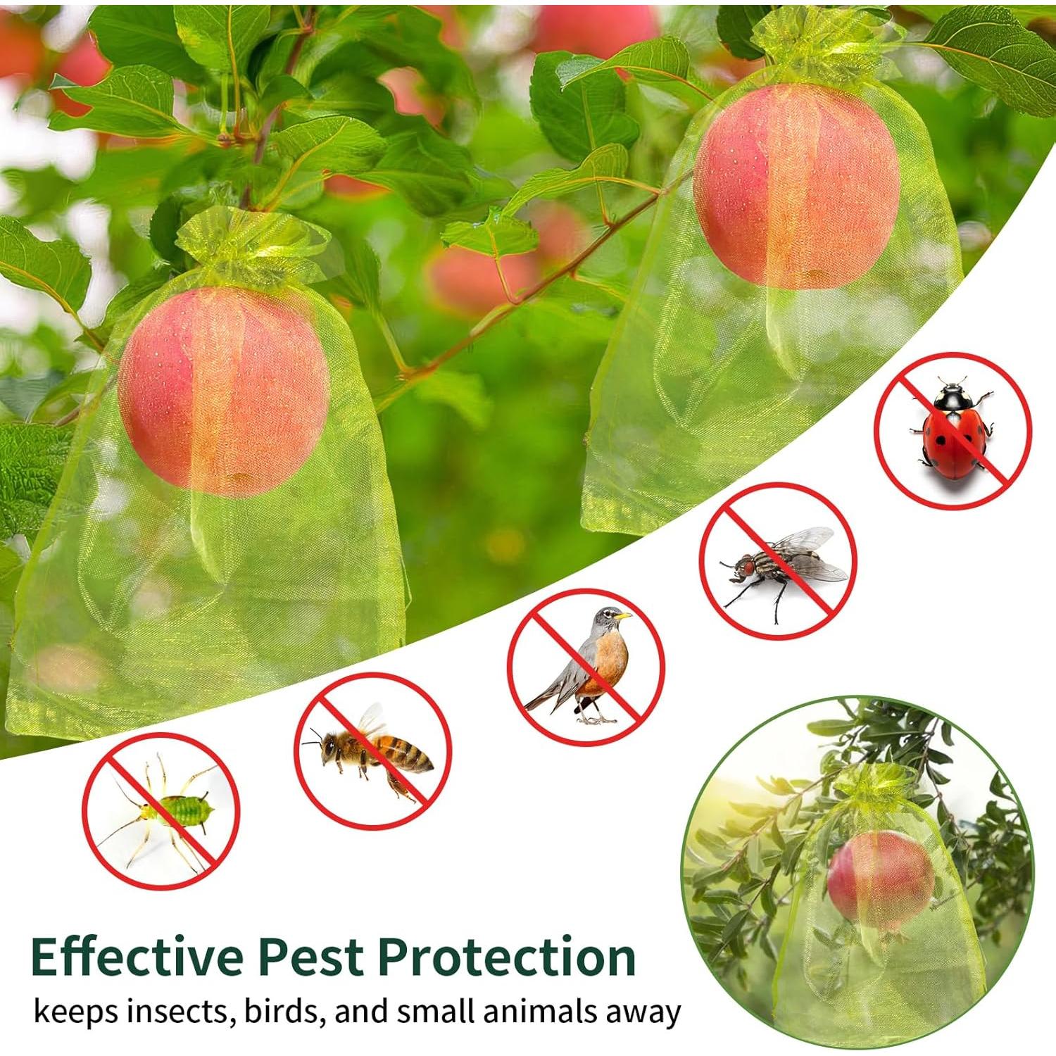 50 Bolsas de Protección para Frutas NIUBIER 19x29 cm Verde