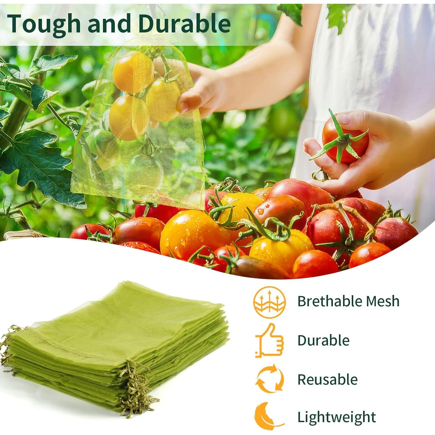 50 Bolsas de Protección para Frutas NIUBIER 19x29 cm Verde