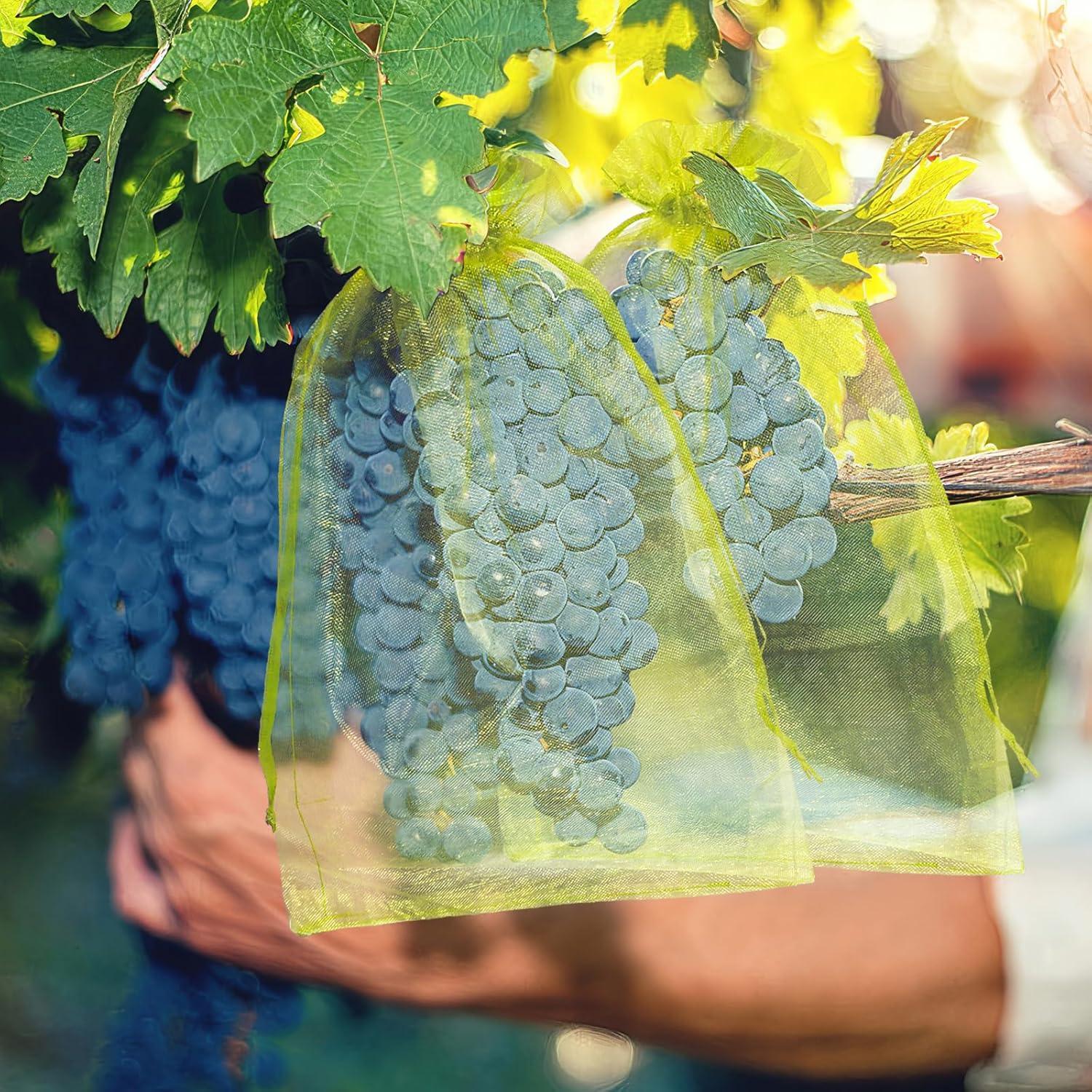 50 Bolsas de Protección para Frutas NIUBIER 19x29 cm Verde