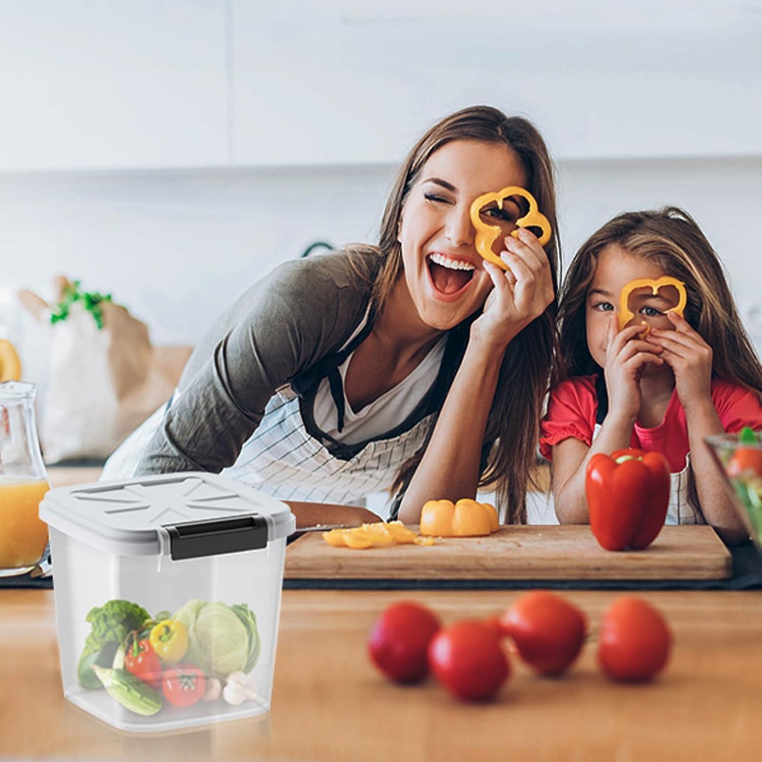 Dispensador de Arroz LivLab 25KG Contenedor Alimentos