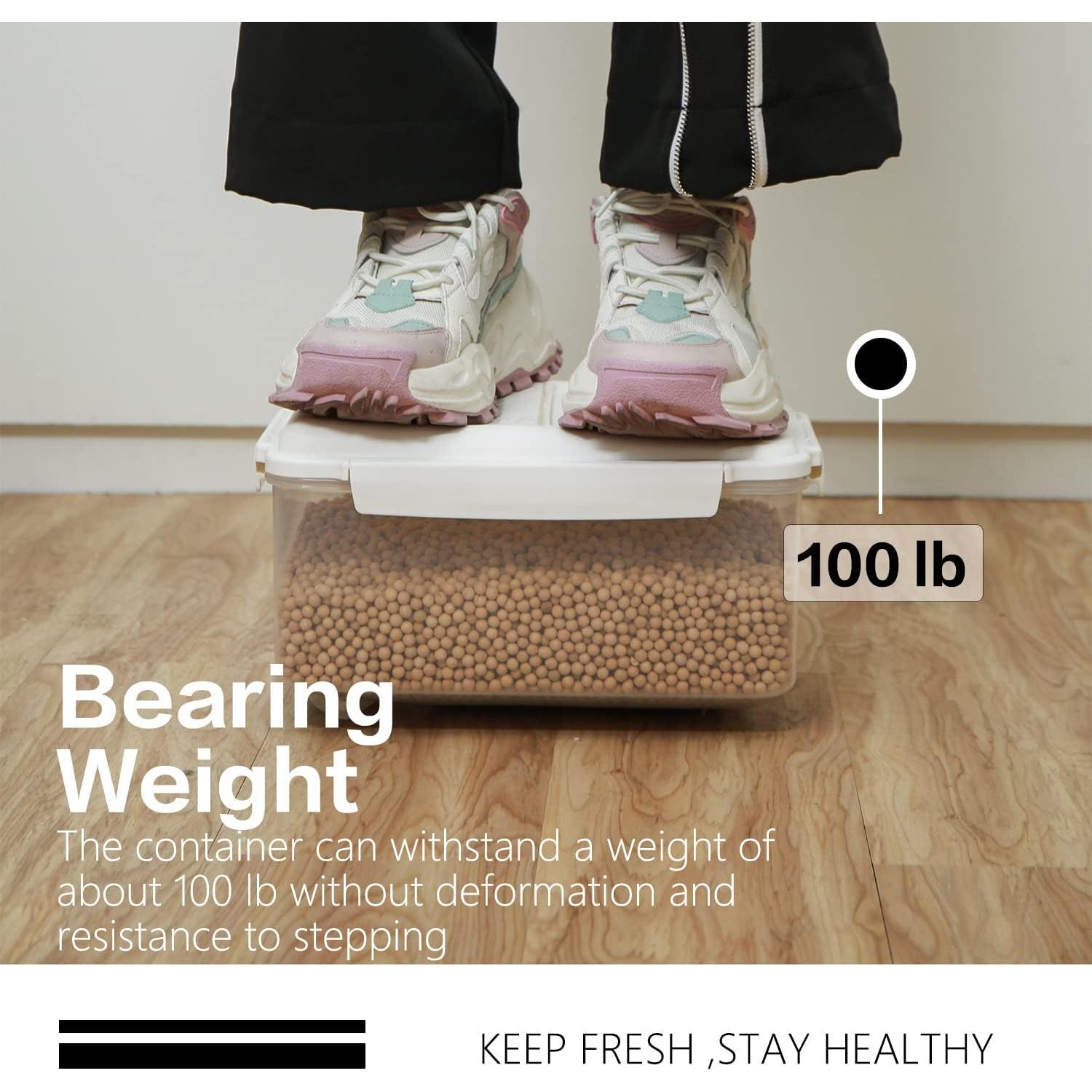 Contenedor de Almacenamiento de Arroz 5 L con Taza Medidora LivLab