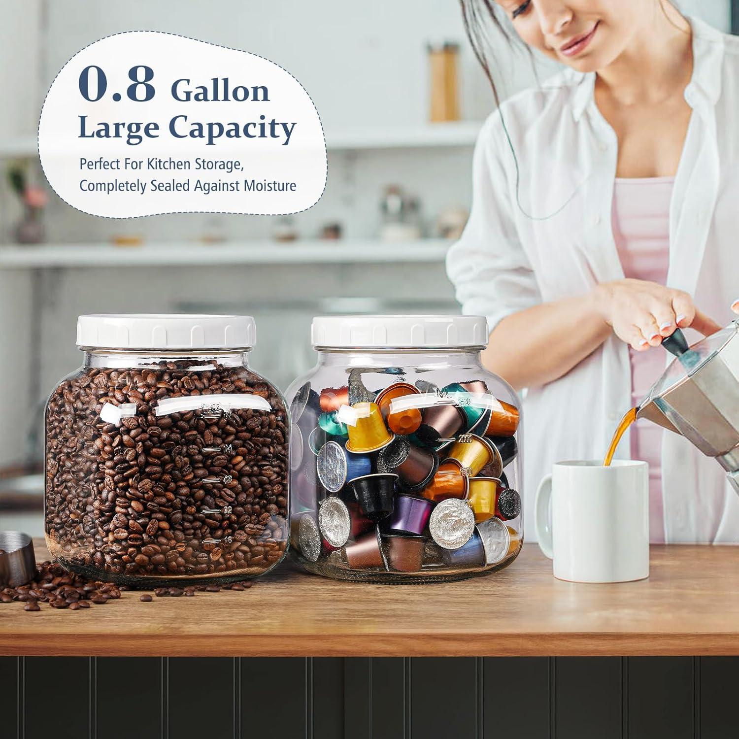 Paquete de 2 Tarros de Vidrio Mason 3,02 L con Tapa