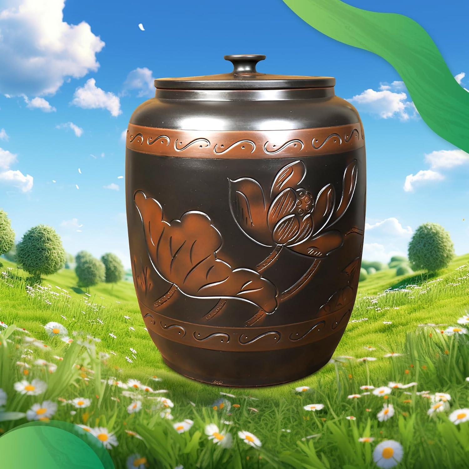 Dispensador de Arroz Cerámica 15 Kg QXYXSM - Organizador Cocina