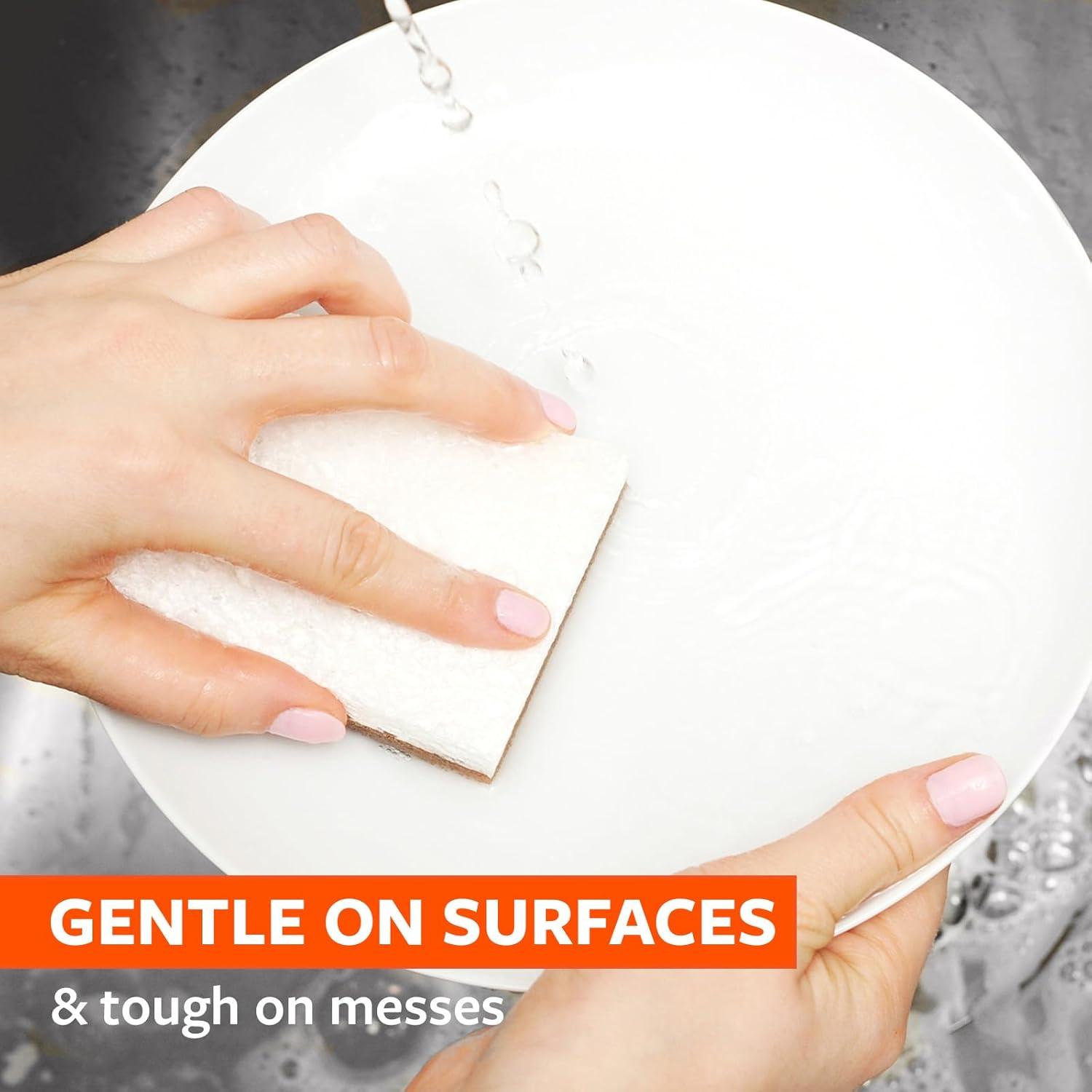 Esponjas de Fregar Full Circle de Nuez - Paquete de 2