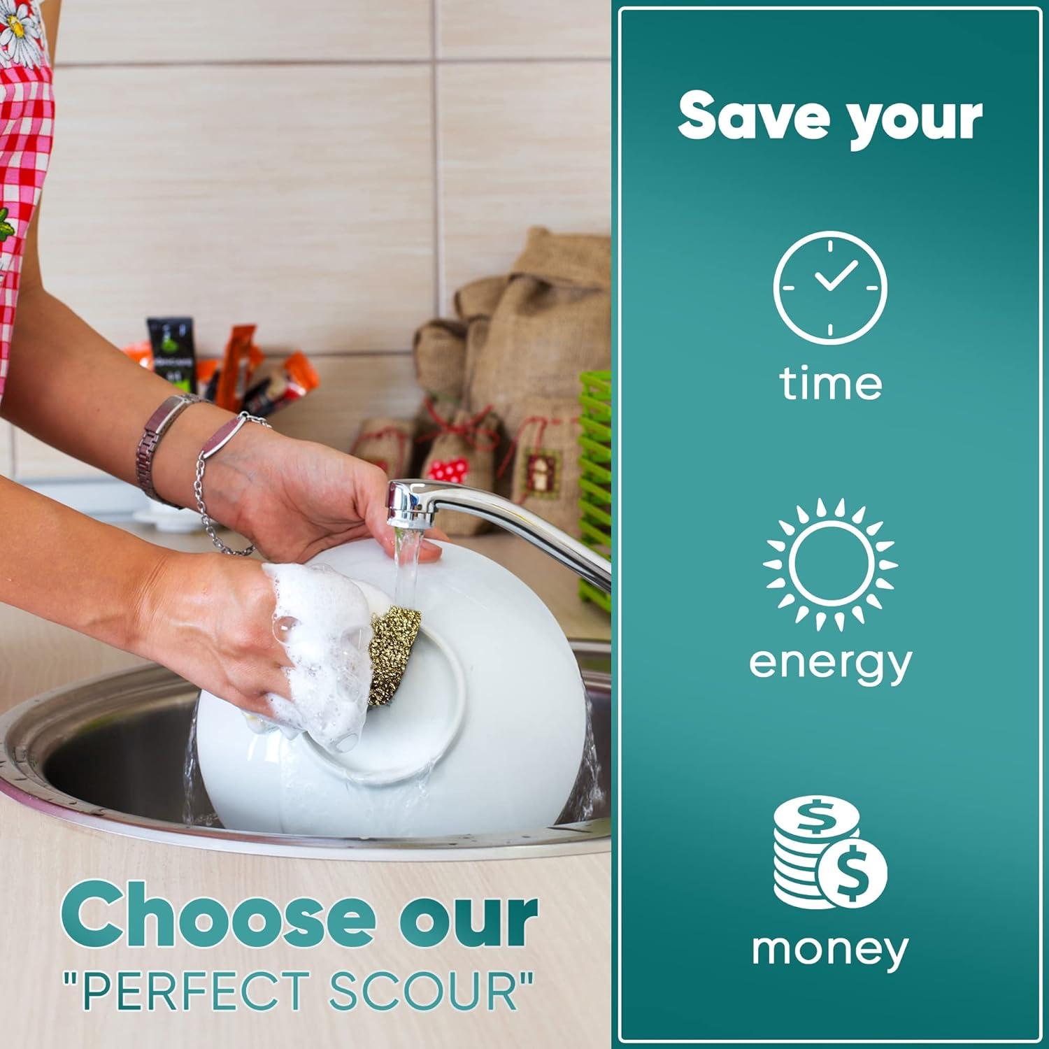 Esponjas de Fregado DR. SCHAVIT Perfect Scour 2 Piezas