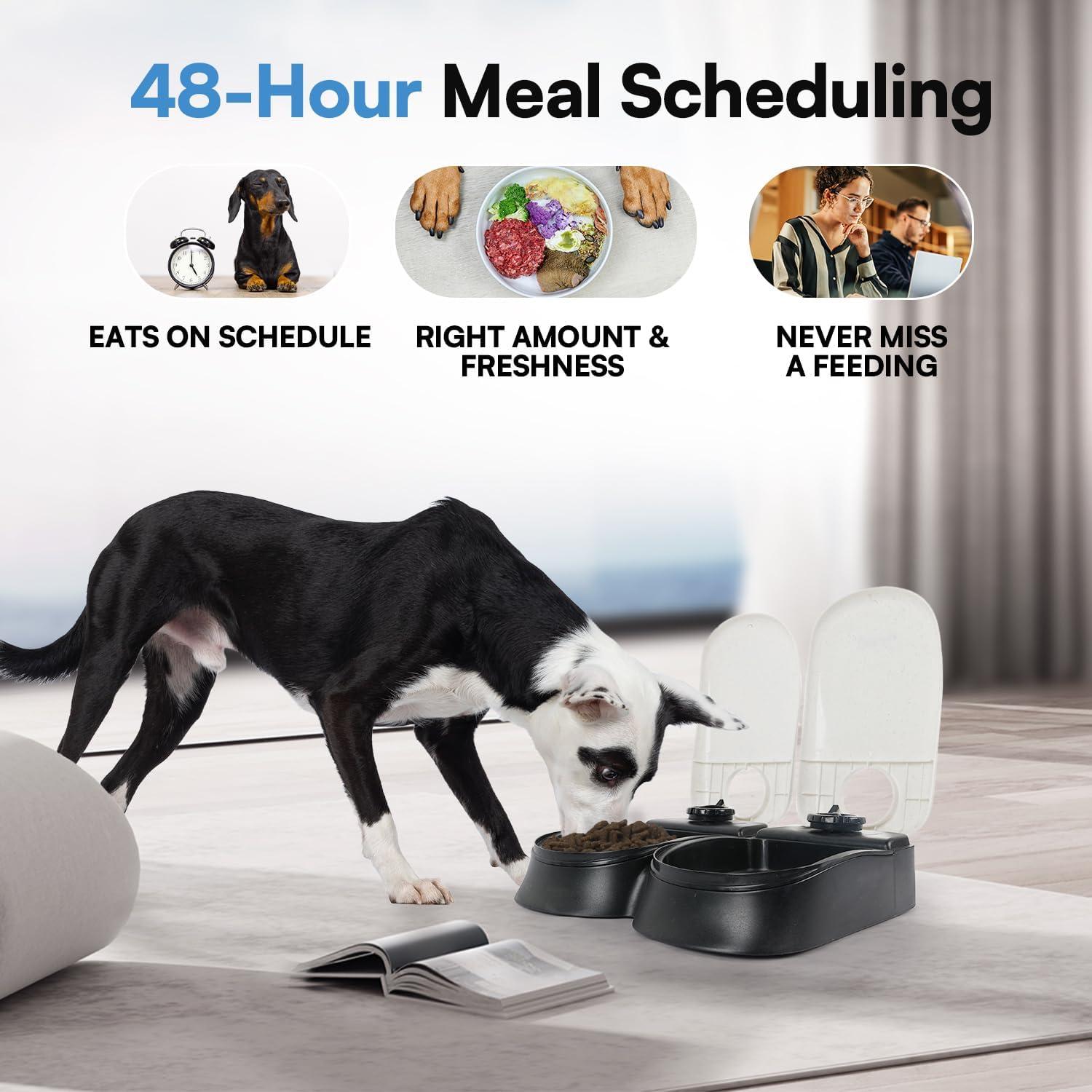 Comedero Automático PAWISE para Gatos y Perros 1.5 Tazas