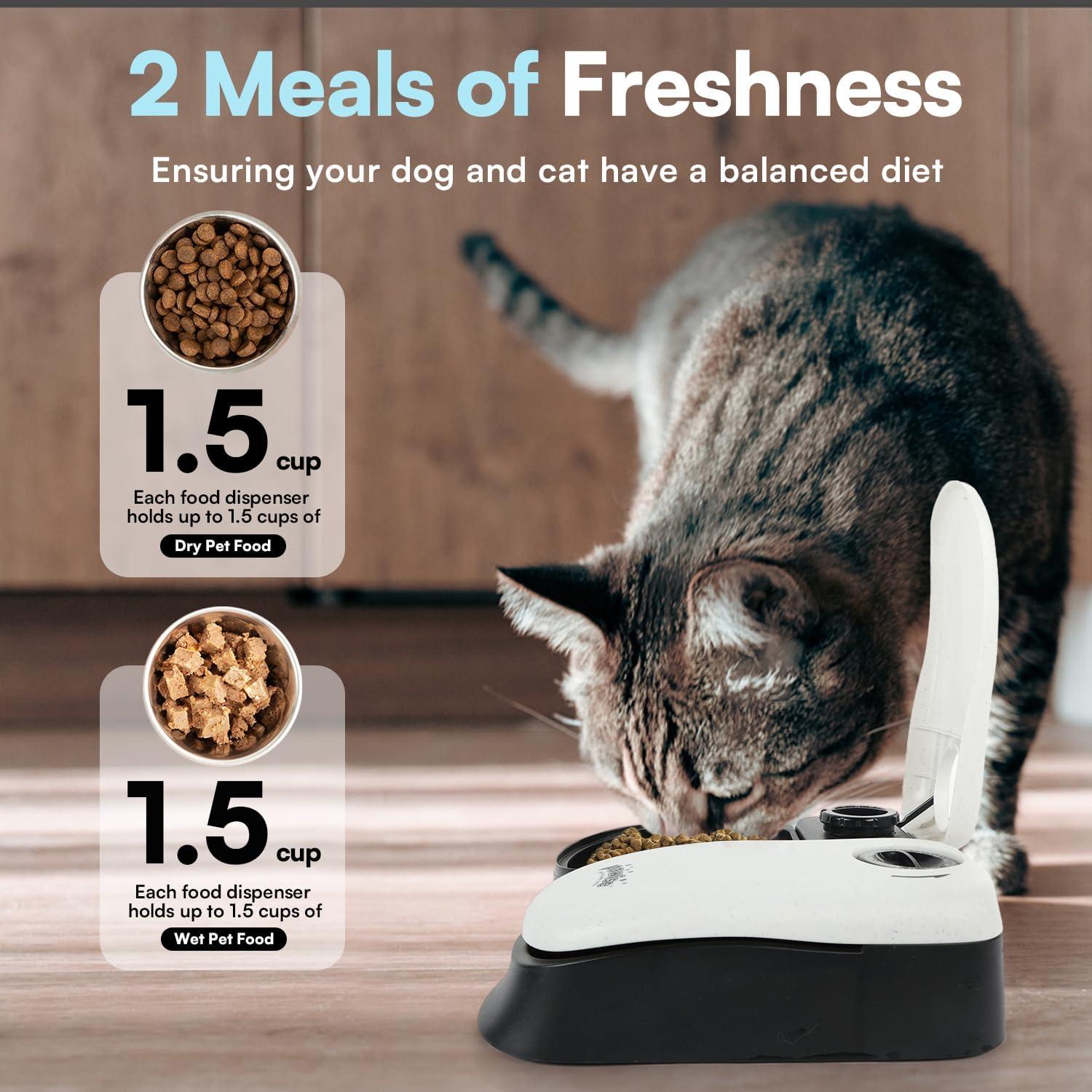 Comedero Automático PAWISE para Gatos y Perros 1.5 Tazas