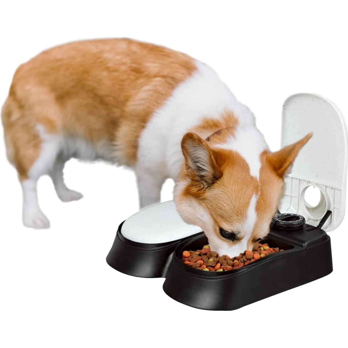 Comedero Automático PAWISE para Gatos y Perros 1.5 Tazas