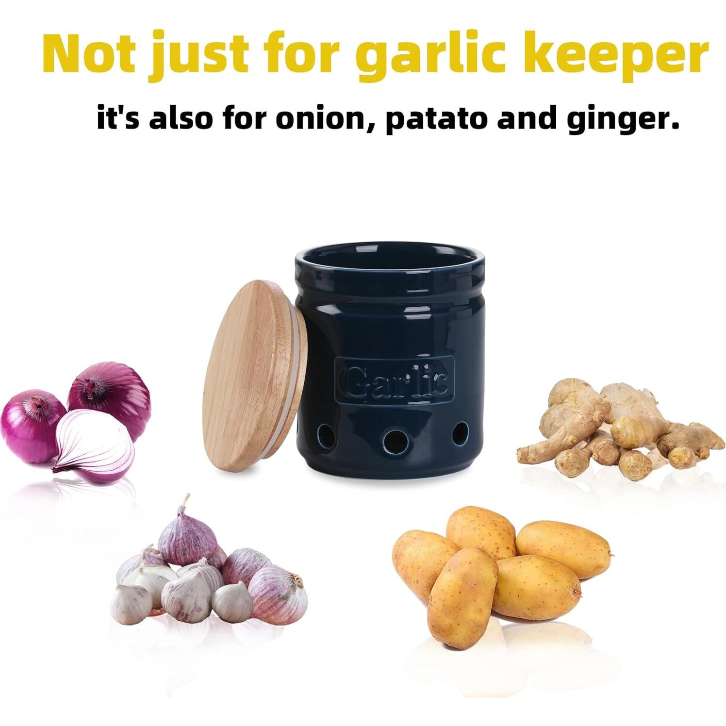 Conservador de Ajo ONTUBE Cerámica Marino con Tapa