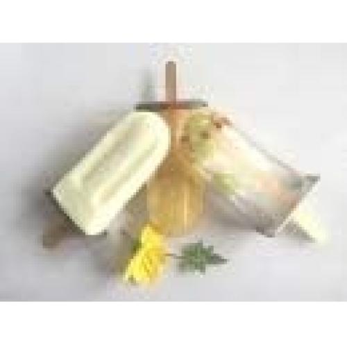 Molde de Paletas de Acero Inoxidable Pizety 12 Cavidades