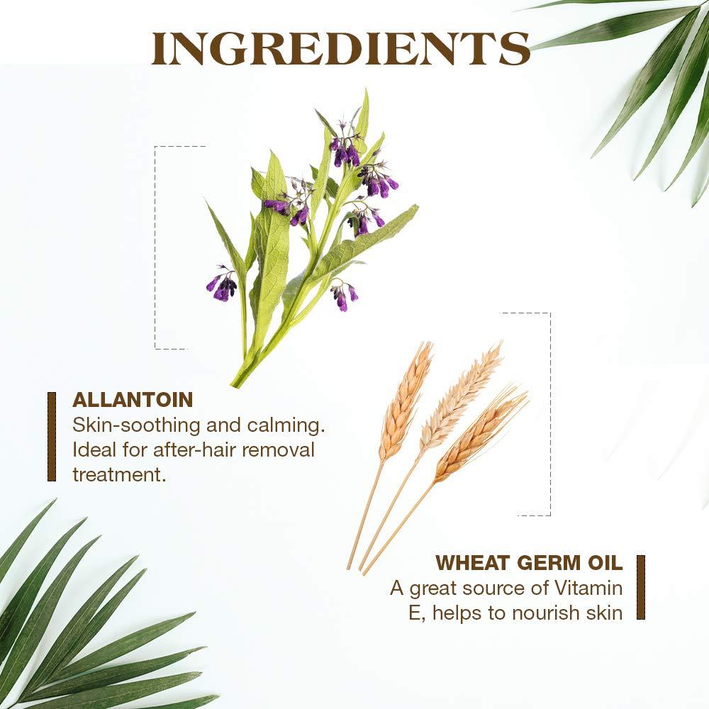 Cintas Depilatorias GiGi para el Cuerpo - Kit 12 Cintas