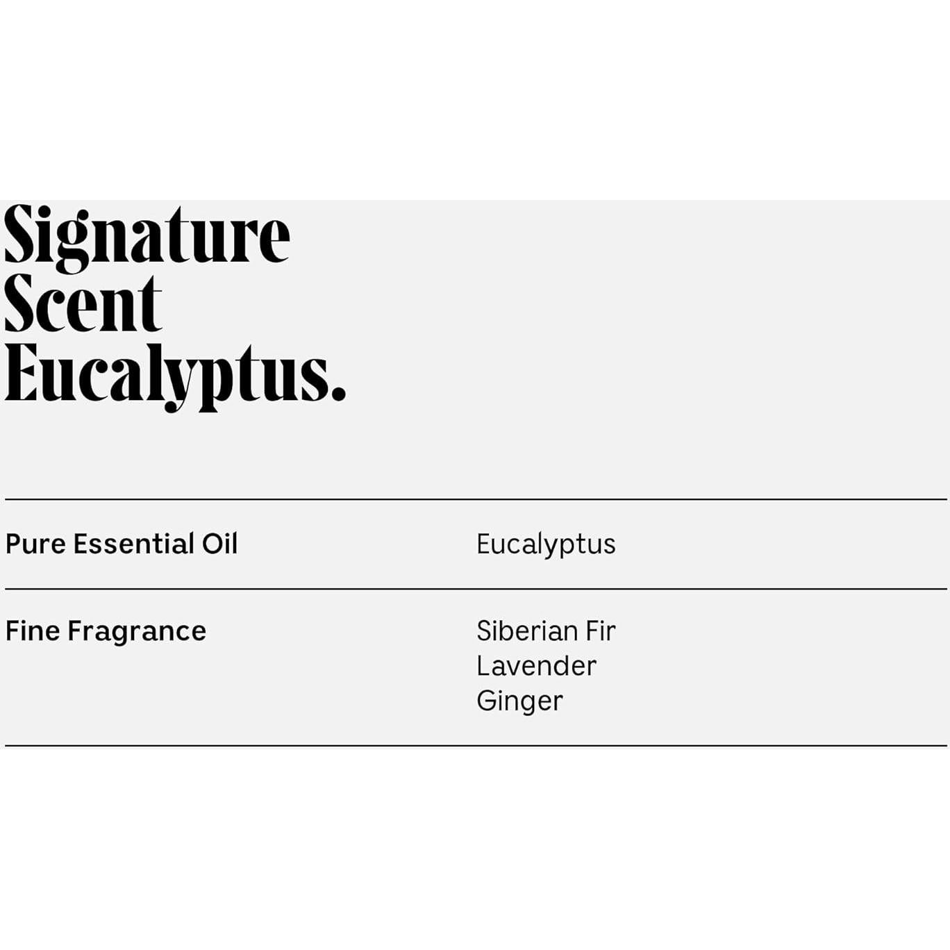 Set de Cuidado Corporal Necessaire - Gel de Ducha, Loción y Desodorante Eucalipto