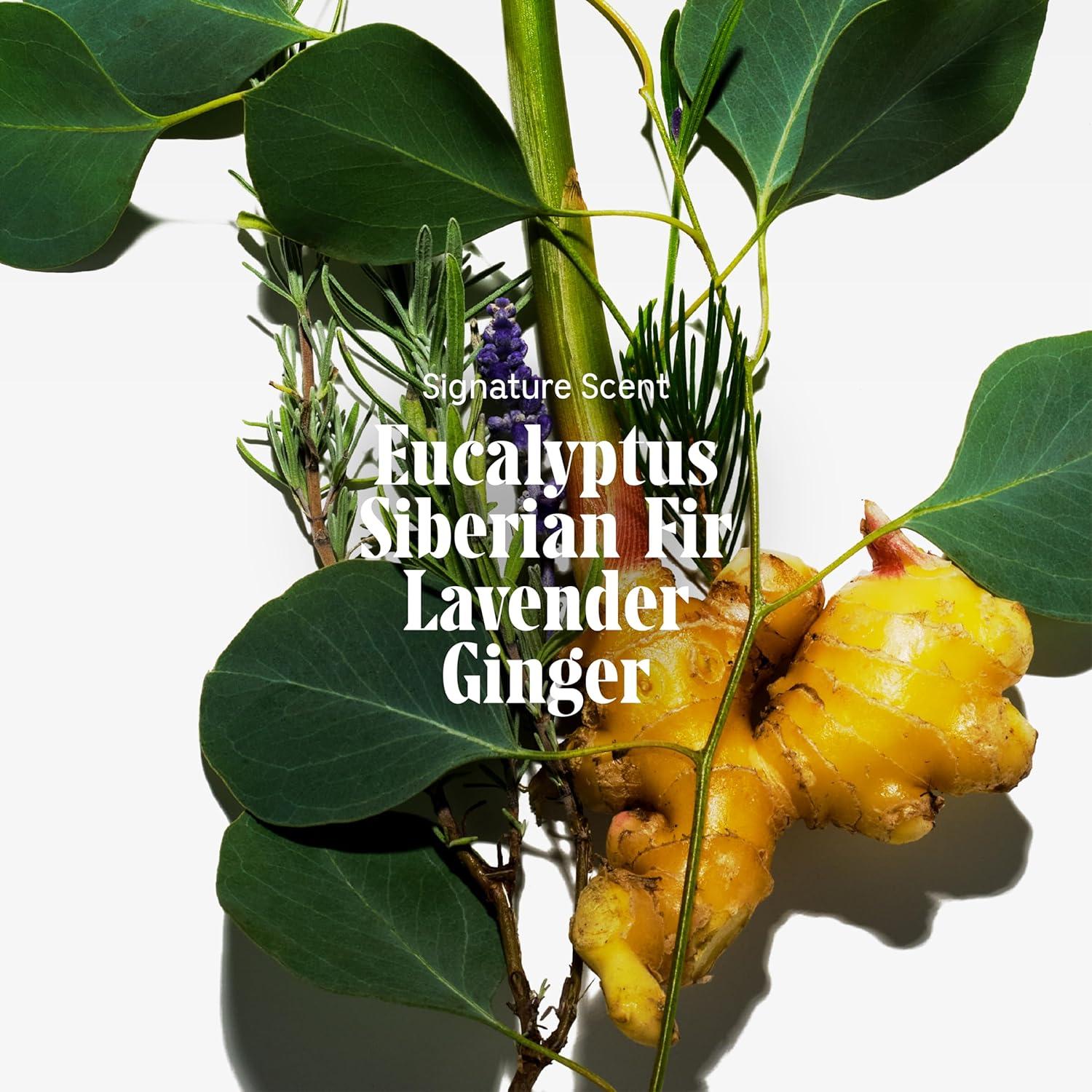 Gel de Ducha Eucalipto Nécessaire 500 ml Hipoalergénico