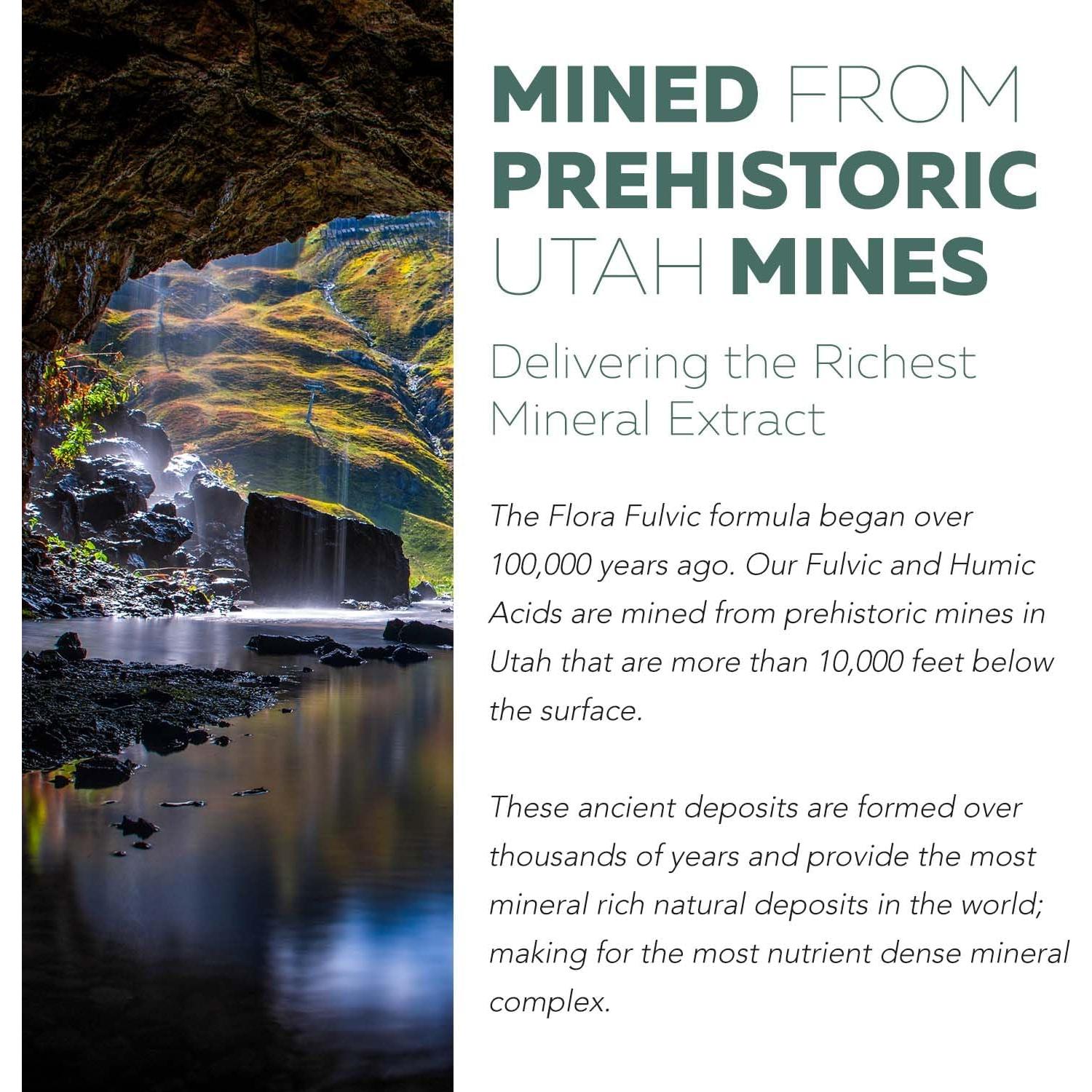 Flora Fulvic | Suplemento de Ácido Fulvico 550 mg | 60 Cápsulas