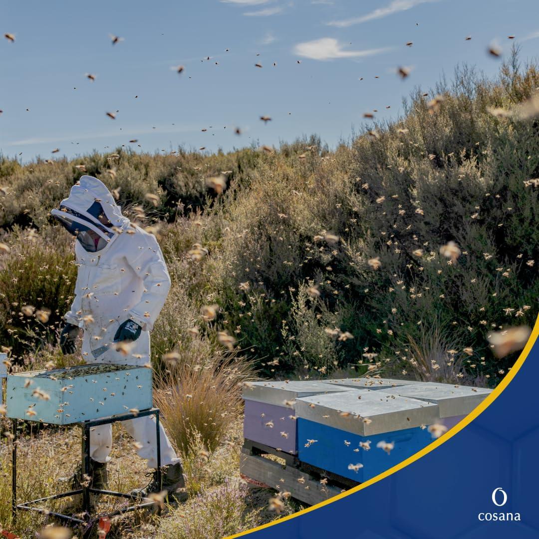 Miel de Manuka Cosana 850 MGO 250g 100% Pura Nueva Zelanda