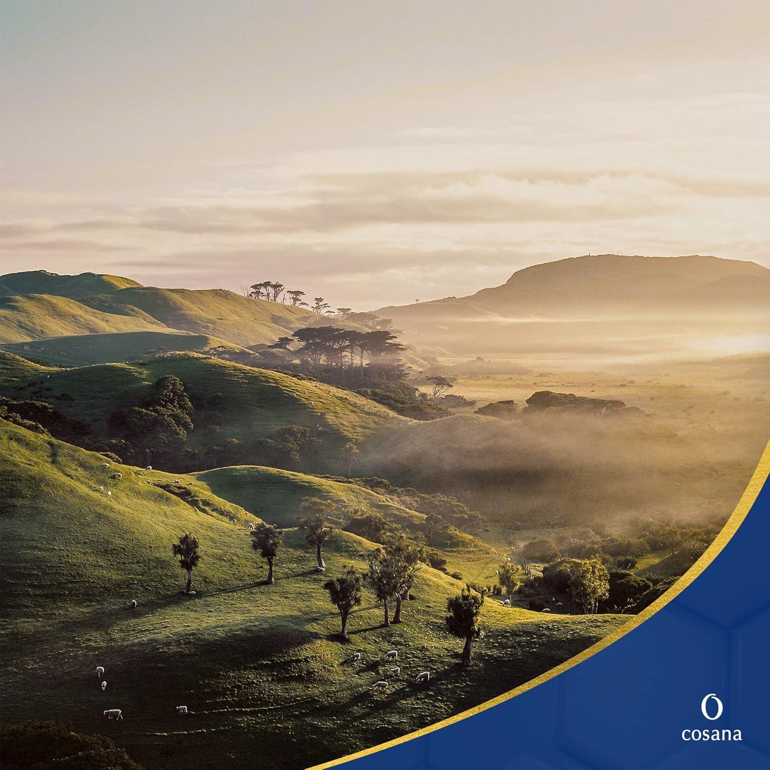 Miel de Manuka Cosana 850 MGO 250g 100% Pura Nueva Zelanda