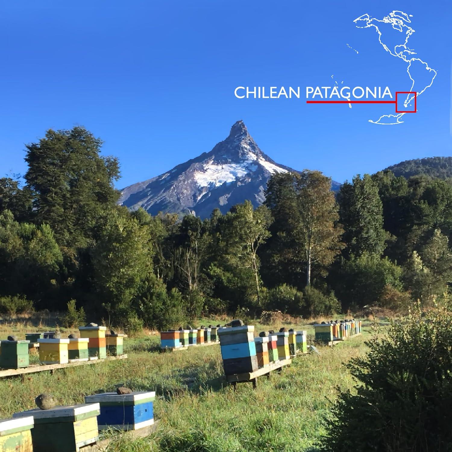 Miel Ulmo Cruda 340g - Más Poderosa que la Manuka