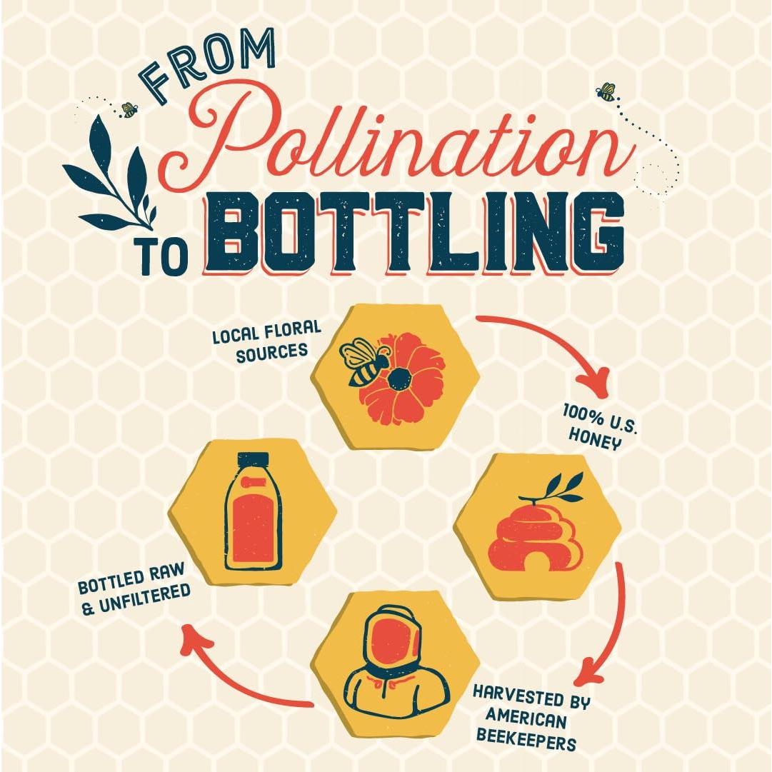Miel Cruda Local Hive Clover 453g - 100% Pura de EE. UU.