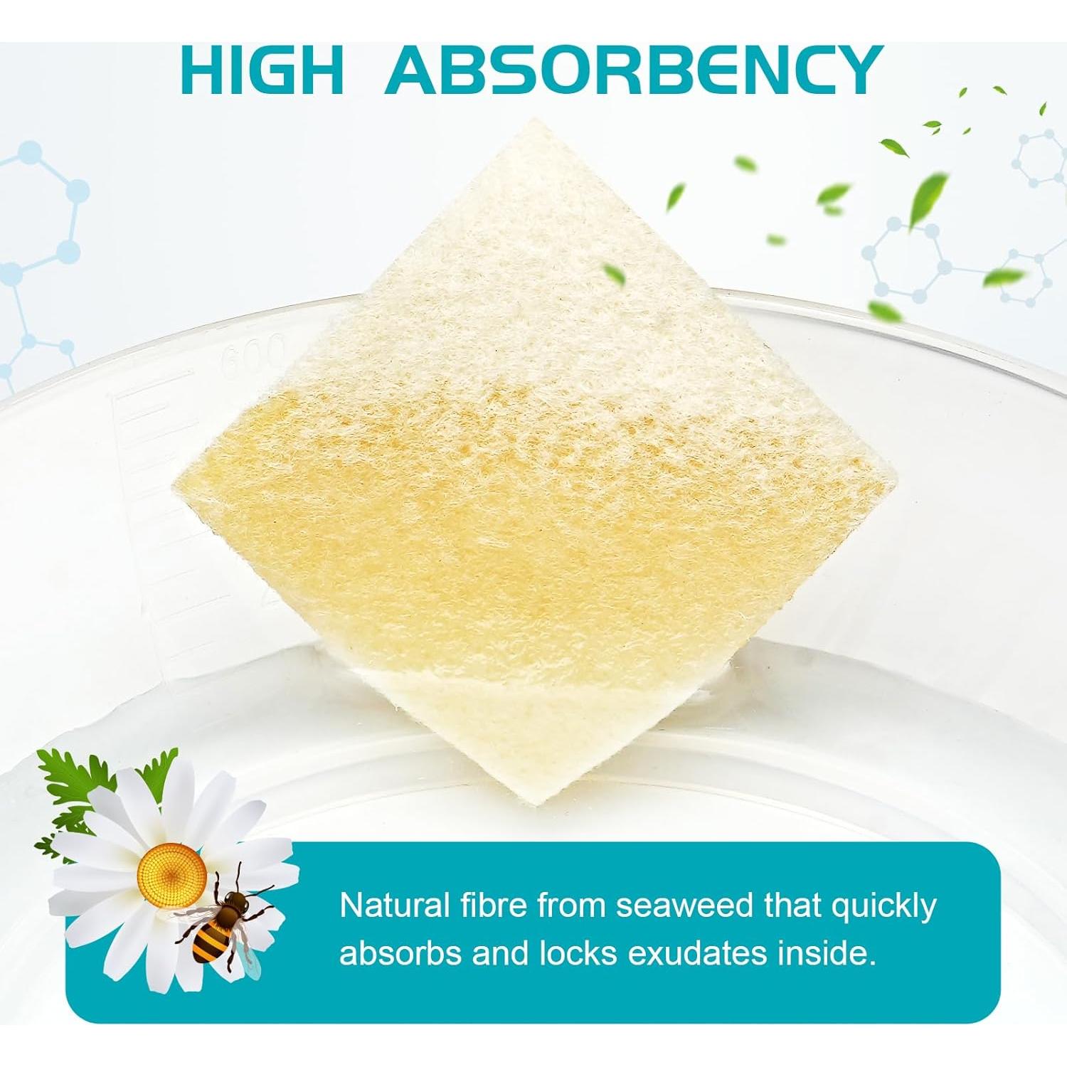 Venda de Herida Alginato de Calcio Miel de Manuka 10 Pzas