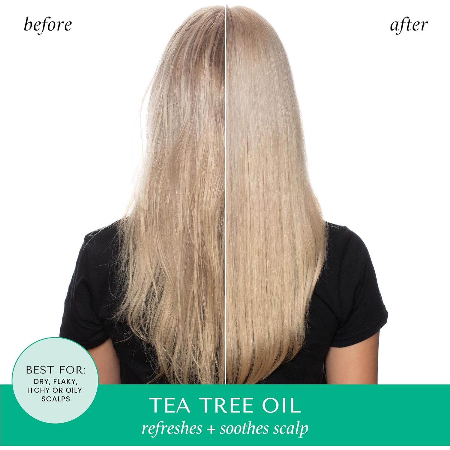 Champú y Acondicionador HASK Árbol de Té y Romero 226g